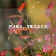 逆战暴风，淬炼生命之光