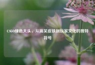CSGO绿色大头，从搞笑皮肤到玩家文化的独特符号