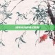 绒布火鸡的奇幻冒险