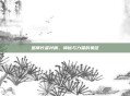 巫师长者衬肩，神秘与力量的象征