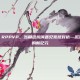 rppvp，RPPVP，当角色扮演遇见竞技对抗—沉浸式PVP的新纪元