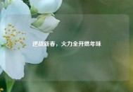 逆战新春，火力全开燃年味