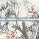 菌类有哪些，菌类有哪些？一文带你认识神奇的真菌世界