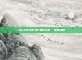 CSOL恒宇双星升级攻略，全面指南