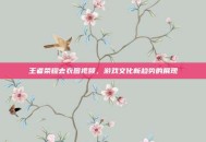王者荣耀去衣图视频，游戏文化新趋势的展现