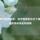 从数据与趋势解析，和平精英是否会下滑？手游市场未来走向预测
