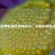 COD16装甲板高效连用技巧，生存压制实战指南