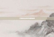 刀锋意志游戏攻略指南