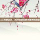 Steam风暴战区，揭开隐藏在数字世界的神秘面纱
