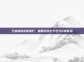 王者荣耀录像维护,确保游戏公平性与玩家体验