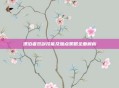 漂泊者双剑技能及加点策略全面解析