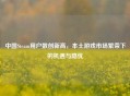 中国Steam用户数创新高，本土游戏市场繁荣下的机遇与隐忧