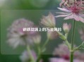 钢铁战场上的万花风吟