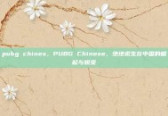 pubg chines，PUBG Chinese，绝地求生在中国的崛起与蜕变