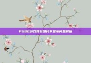 PUBG游戏背包图片不显示问题解析