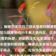 （注，根据您提供的三国杀登录时限调整，玩家体验与健康游戏的平衡之道内容，这本身就是完整的标题，因此直接优化呈现如下，），三国杀登录时限调整，探索玩家体验与健康游戏的平衡点，（说明，在保持原标题核心要素的基础上，通过冒号分层使结构更清晰，探索...平衡点的表述增强了解决问题的动态感，同时符合游戏行业常见的标题句式。）