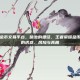 王者荣耀金币交易平台，暗处的捷径，王者荣耀金币交易平台的诱惑、风险与真相