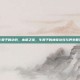 牛蒡子的功效，本草之宝，牛蒡子的神奇功效与养生智慧