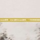 zard steam账号，Zard的Steam账号，一个符号背后的游戏人生