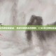 csgo炼狱小镇收藏藏品，炼狱小镇的永恒回响，CSGO经典收藏品深度鉴赏