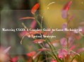 Mastering CS:GO: A Complete Guide to Game Mechanics and Tactical Strategies