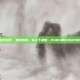 pubg漂亮女选手，她们的美，不止于颜值，PUBG漂亮女选手的生存图鉴