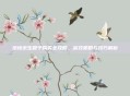 绝地求生箱子购买全攻略，高效策略与技巧解析