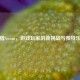 捕猎Steam，游戏玩家的新挑战与独特乐趣