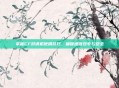 掌握CF对讲机使用技巧，确保通信效率与安全