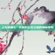 上古卷轴5，天际中扎克之塔的神秘探险