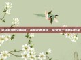 英雄联盟观战指南,掌握比赛赛程,享受每一场精彩对决