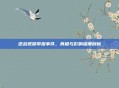 逆战视频举报事件，真相与影响深度剖析