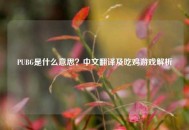 PUBG是什么意思？中文翻译及吃鸡游戏解析