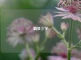 霸胜三字