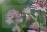 霸胜三字