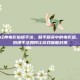 和平精英经典电影拍摄手法，和平精英中的电影感，那些经典拍摄手法如何让游戏画面封神