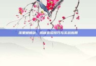 流星蝴蝶剑，揭秘连招技巧与实战应用