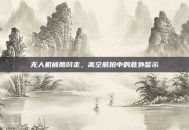 无人机被鹰叼走，高空航拍中的意外警示