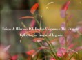 Unique & Hilarious LOL English Usernames: The Ultimate Collection for League of Legends