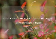 Unique & Hilarious LOL English Usernames: The Ultimate Collection for League of Legends
