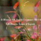 Unique & Hilarious LOL English Usernames: The Ultimate Collection for League of Legends