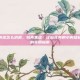 痔疮小肉球怎么消退，别再焦虑！让菊花旁的小肉球自然消退的实用指南