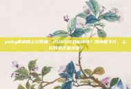 pubg要求的上行网速，PUBG吃鸡总掉线？别光看下行，上行网速才是关键！
