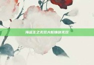 海盗王之无双大蛇铸剑无双