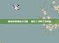 机械师刷图加点攻略,高效升级技巧全解析