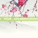 lol朱永权，不灭之握，朱永权和他那永不熄灭的召唤师意志