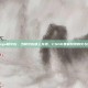 csgo喷火蛇，当喷火蛇遇上龙狙，CSGO里最昂贵的火与蛇