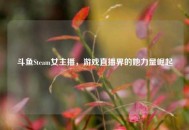 斗鱼Steam女主播，游戏直播界的她力量崛起