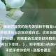 （注，根据您提供的抢先体验和平精英2.0版本，内测资格获取与尝鲜攻略内容，这本身就是符合要求的标题，若需重新生成类似风格的标题，可参考以下变体，），和平精英2.0内测开启！手把手教你抢号+新版本速览