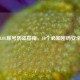 美服LOL账号防盗指南，10个必知密码安全技巧